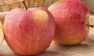 夏天温性水果有哪些（夏天温性的水果有哪些）