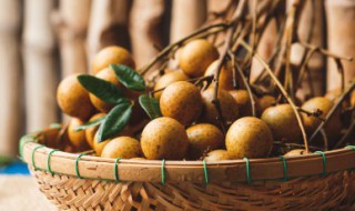 不是寒性食物和水果有哪些（不是寒凉性的水果有哪些）