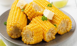 什么属于寒性食物有哪些（什么是属于寒凉性食物）