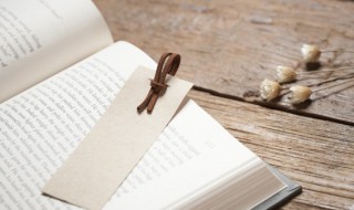 百丈竿头经典成语故事(百丈竿头猜三个数字)