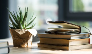 中耕是什么意思(中耕是什么意思?)