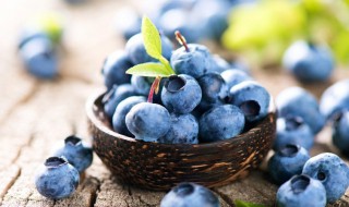 在家里怎么种蓝莓呢（在家里怎么种蓝莓呢）