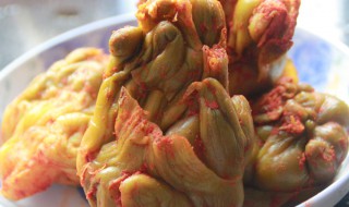 自制榨菜的腌制方法 自制榨菜的腌制方法视频