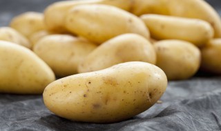 土豆怎么种植盆栽（土豆怎么种植盆栽好）