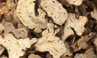 中药白术有什么功效 中药白术有什么功效 白芷有什么作用