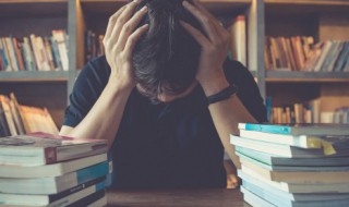 瑕瑜互见是什么意思（瑕瑜互见是什么意思啊）