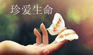 珍爱生命的经典语句（珍爱生命的经典语句有哪些）