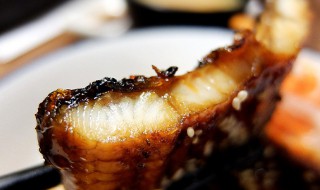 鳗鱼如何吃 鳗鱼如何吃最营养