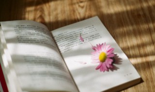 长话短说的意思 说长道短是什么意思