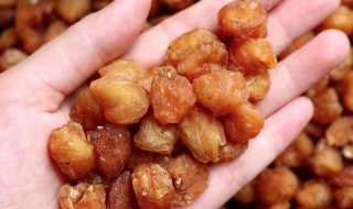龙眼肉怎么做呢 龙眼肉的家常做法
