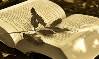 感恩朋友圈发表说说(感恩朋友圈发表说说简短)