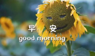 早上温馨的问候语大全 早上温馨的问候语大全简短