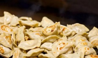 波兰饺子做法（波兰饺子做法视频教程）