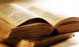 白菊是什么意思 白菊啥意思