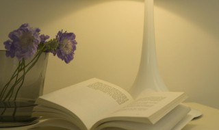 不辞是什么意思（大言不辞是什么意思）