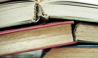 正朝是什么意思（正朝副朝）