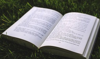 世上最暖心的情话（世上最暖心的情话短句）