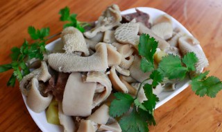 哪些人不能吃羊肚 哪些人不能吃羊肚菌汤