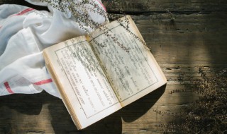 心广体胖成语故事 心广体胖出自哪里