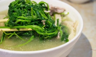 老面汤野菜基本介绍 老面汤野菜是什么样