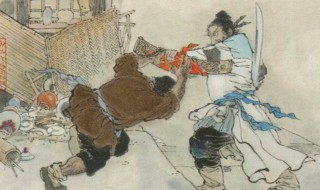 杨志卖刀概括 智取生辰纲概括