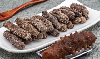 如何水发干海参（干海参的食用方法）