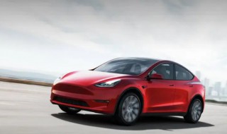 车上鸟屎干了怎么清洗 车上鸟屎干了 擦不掉