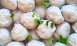 肉丸制作方法和配方 肉丸制作方法和配方视频
