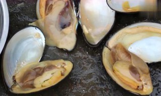 河蚌怎么洗才干净（河蚌怎么洗才干净图片）