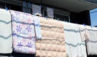 白鹅绒被子能晒太阳吗(白鹅绒被子能晒太阳吗)