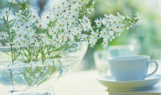 清新大气古诗词个性网名 清新大气古诗词个性网名男