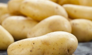 土豆怎么存放不宜发芽 土豆如何存放不易发芽
