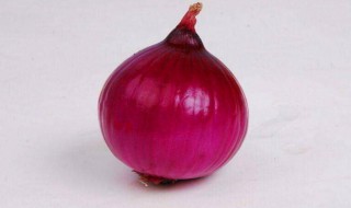 洋葱怎样长时间保存(洋葱怎样长时间保存不烂)