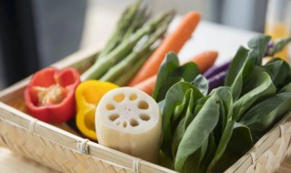 教你最方便的保存蔬菜方法 教你最方便的保存蔬菜方法视频