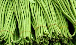 新鲜豆角如何储存 新鲜豆角储存方法