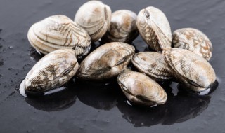 花甲怎么清洗内脏 花甲怎么清洗内脏视频