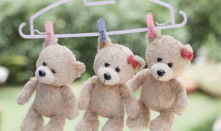 毛绒玩具怎么洗才不会发硬（毛绒玩具怎么洗才蓬松）