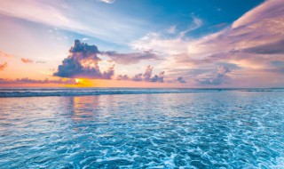 海里的动植物材料有哪些（海里的动植物材料有哪些种类）