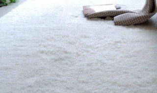 如何对地毯的油渍进行去渍处理 如何对地毯的油渍进行去渍处理