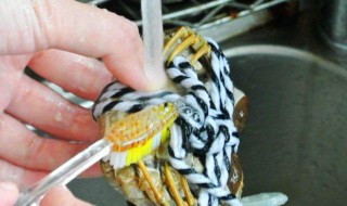 大闸蟹吐沙要放多少水 大闸蟹吐沙子要多久