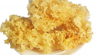 银耳泡发的简单方法（银耳泡发的简单方法窍门）