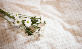 桌布的保养和洗涤（桌布洗涤方法）