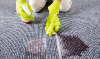 地毯怎么清洗去污渍 地毯怎么清洗去污渍小妙招