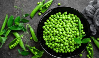 香豌豆花语是什么 香豌豆花型