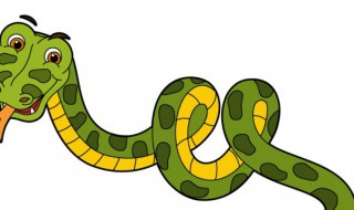 女子梦见蛇是什么意思 女人梦到蛇是什么寓意是什么