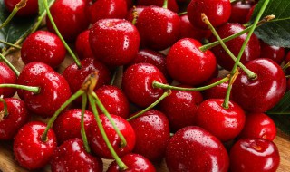 车厘子的保存技巧 车厘子的保存技巧和方法