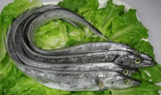 带鱼怎么洗才能干净无腥味（带鱼怎么洗怎么做）