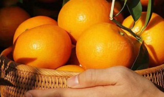 沃柑多了怎样洗 沃柑怎么护理