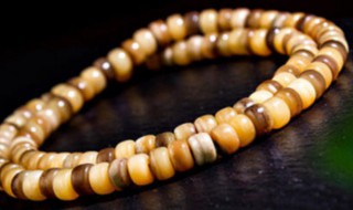 怎么让骨头快速玉化 如何让骨头快速玉化