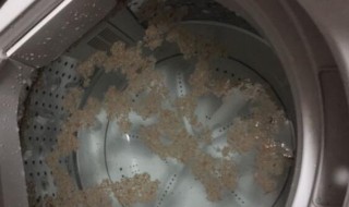 怎样清洗洗衣机脱水污垢（怎样清洗洗衣机脱水污垢妙招）